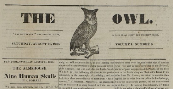 The Owl 08141830.JPG