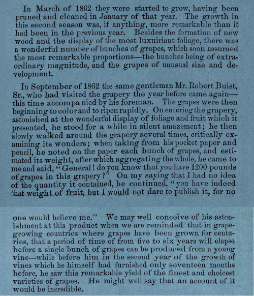 Close-up of a dense block of text printed on blue-tinted paper describing grape cultivation in the early 1860s. The passage recounts abundant grape harvests, unusually large bunches, and a visitor’s amazement at the yield and weight of grapes grown in a single grapery.