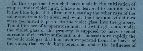 Close-up of a paragraph printed on blue-tinted paper describing an experiment growing grapes under violet light. The text explains how blue and violet rays were allowed through violet glass to affect temperature, electricity, and carbonic acid absorption in grape cultivation.